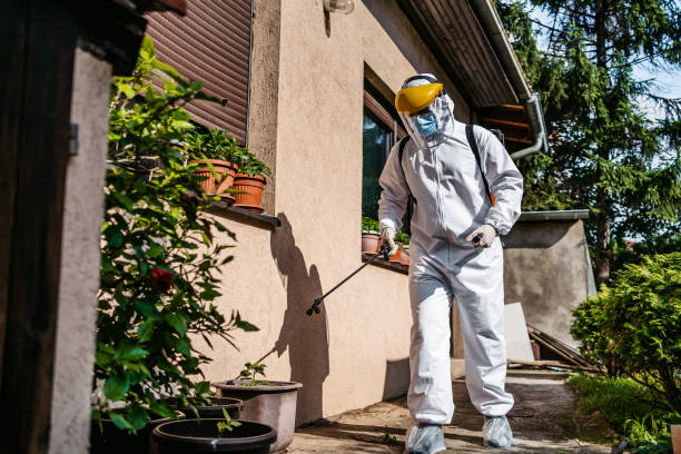 Professional Pest Control in Maywood, CA
