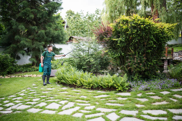 Best Emergency Pest Control  in Maywood, CA